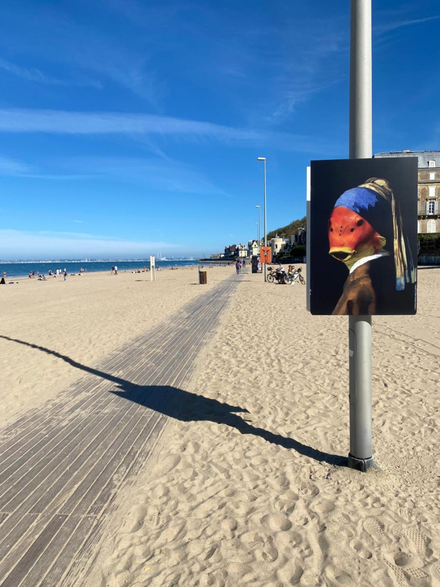 Cote Plage - Magnifique Appartement De Charme A Trouville Sur Mer - Linge - Lit Fait - Parking - Wifi - Classe Par L'Office Du Tourisme المظهر الخارجي الصورة